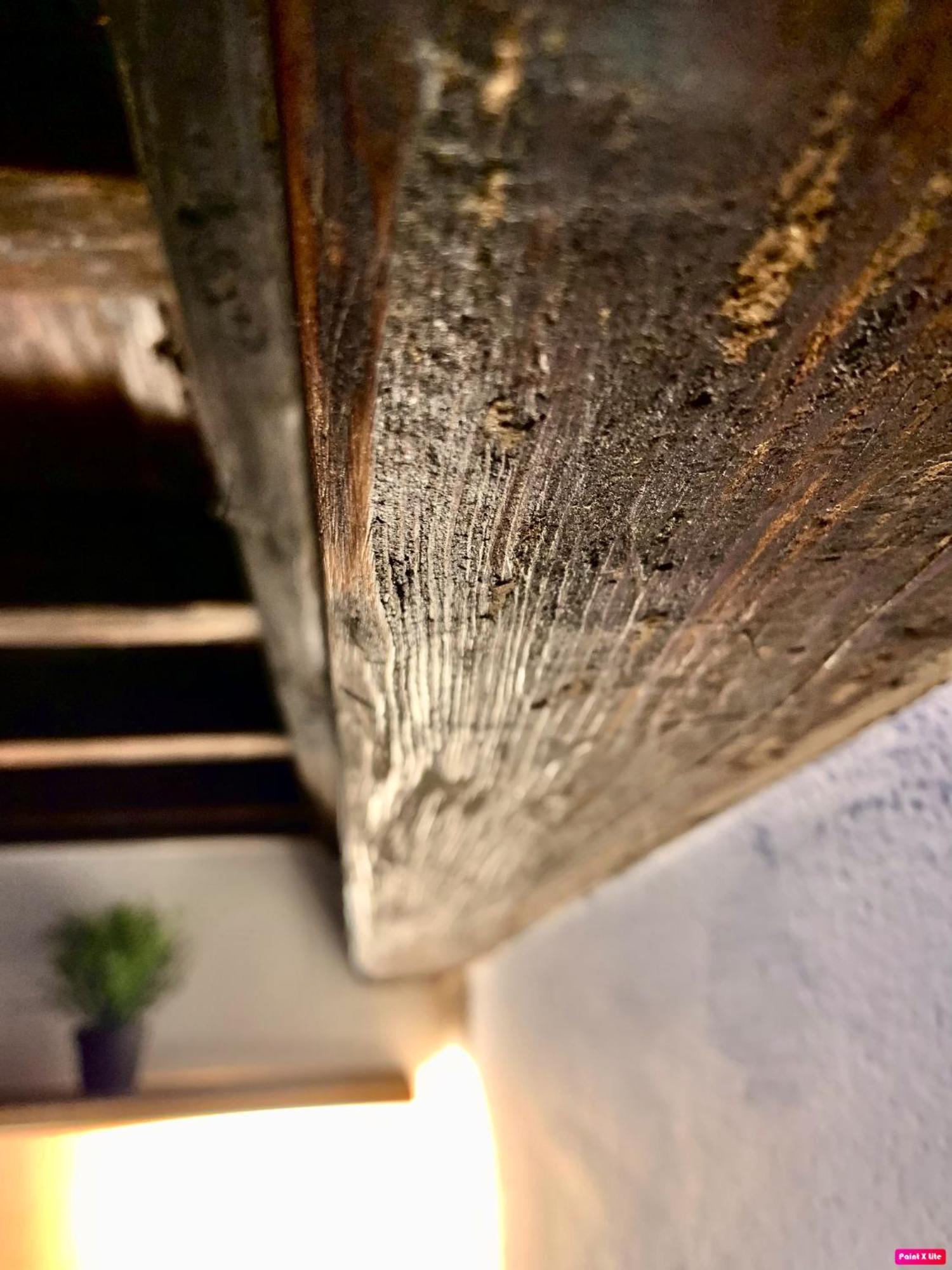 Ferienwohnung La Bella Vita Florenz Exterior foto